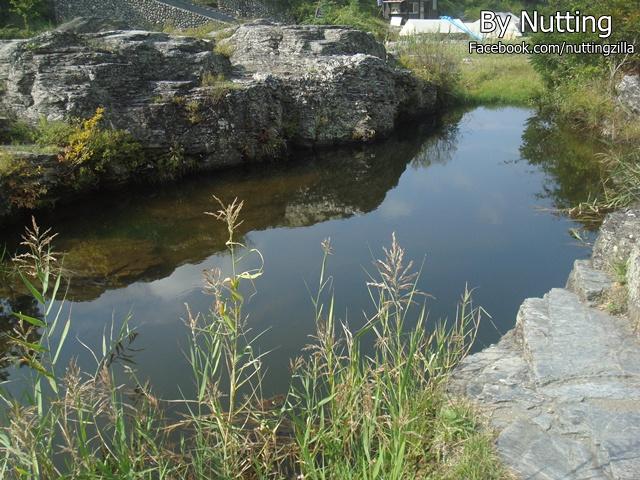 DSC03868.JPG